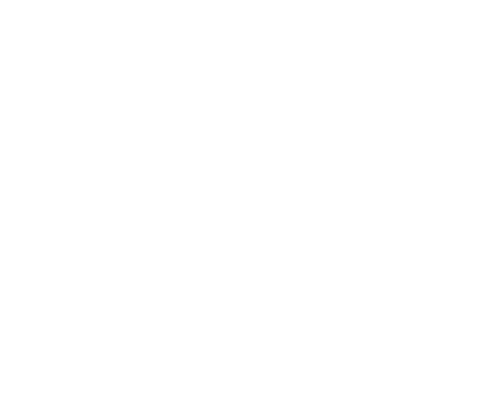 Boom Karts